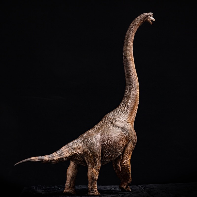 Giraffatitan Brancai (Brachiosaurus) Dinosaur Model 1:35 Scale - The ...