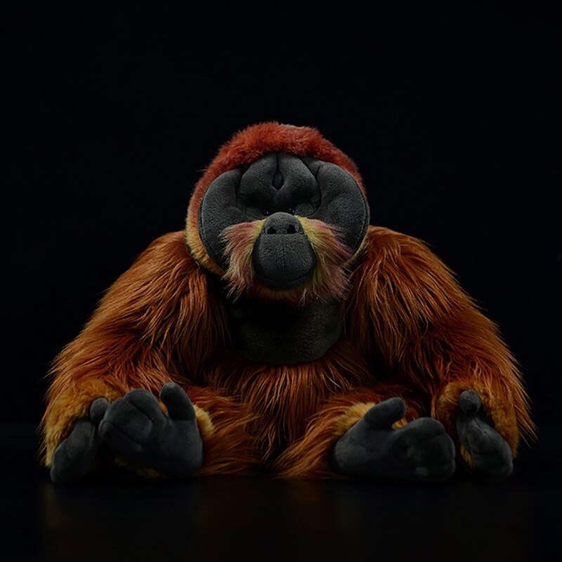 Orangutan Plush Toy