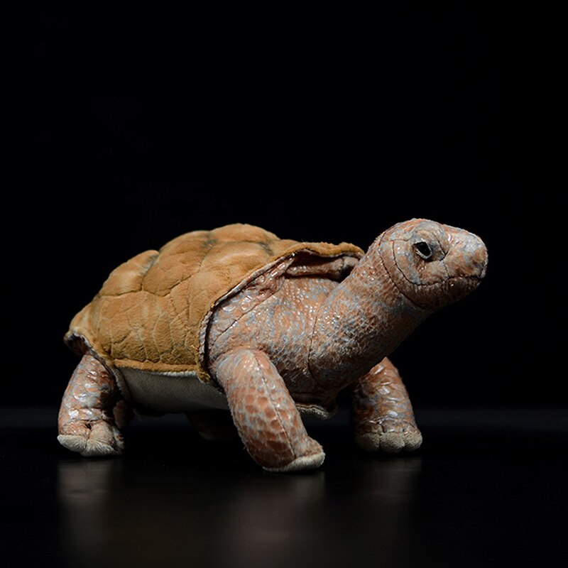 Lifelike Galapagos Tortoise Plush Toy
